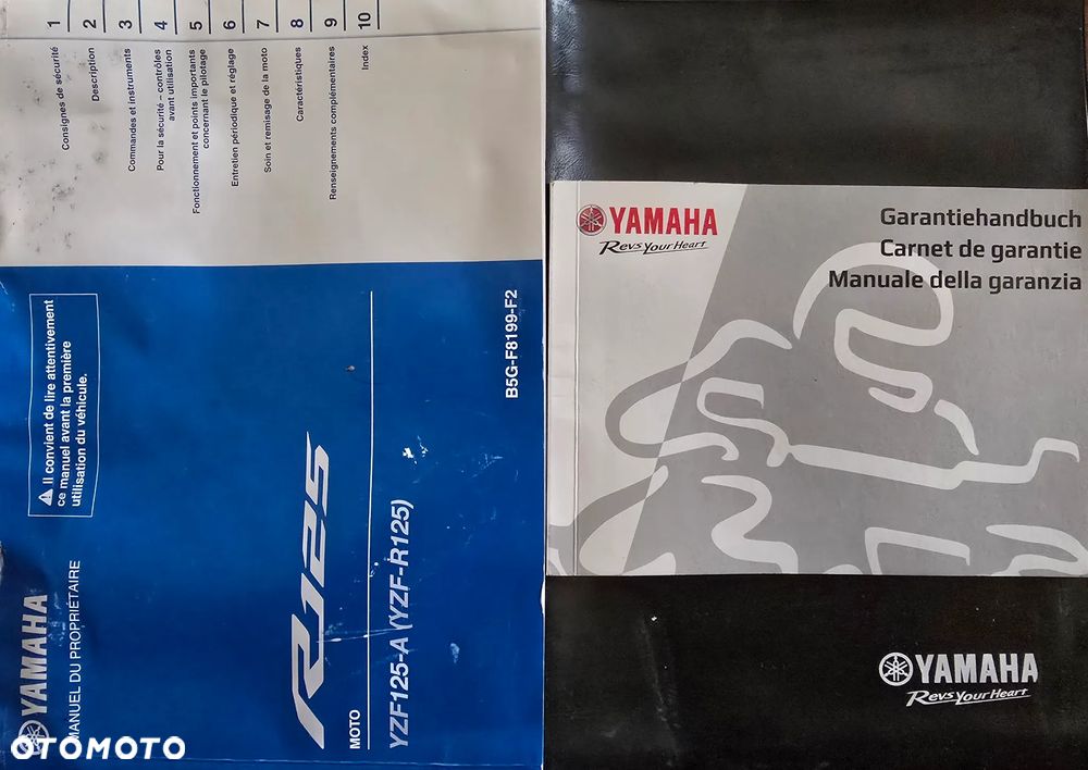 Yamaha R125 - 21