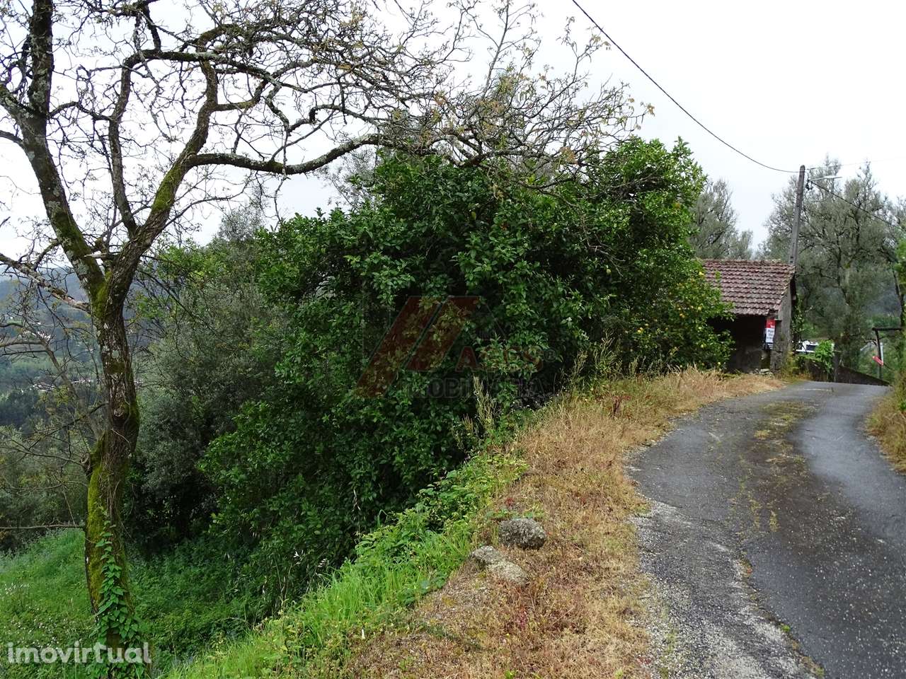 Moradia para Restaurar T2 Venda em Ribas,Celorico de Basto - Grande imagem: 2/16