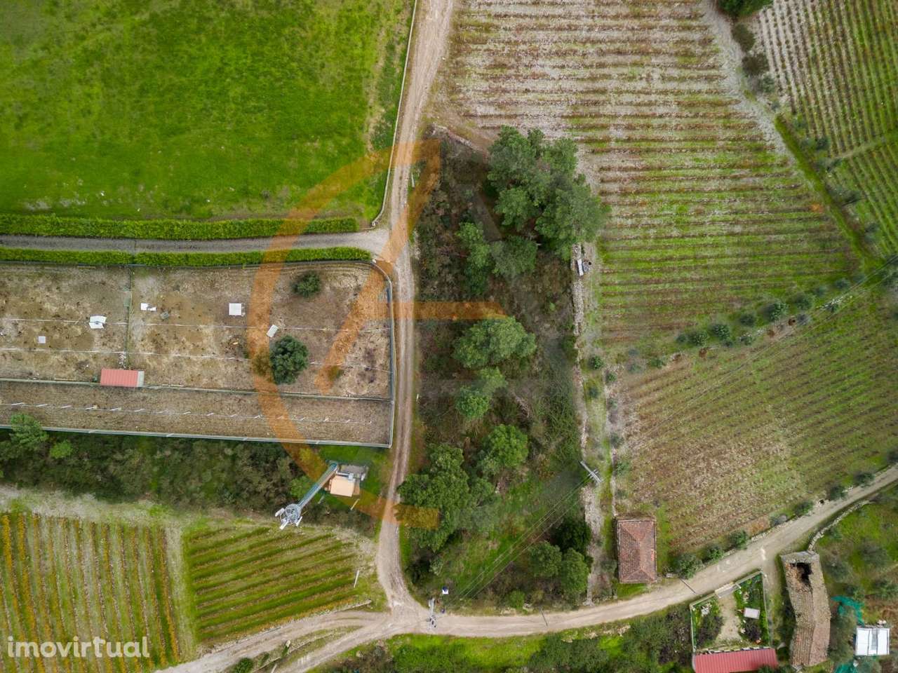 Terreno | Peso da Régua - Grande imagem: 2/16