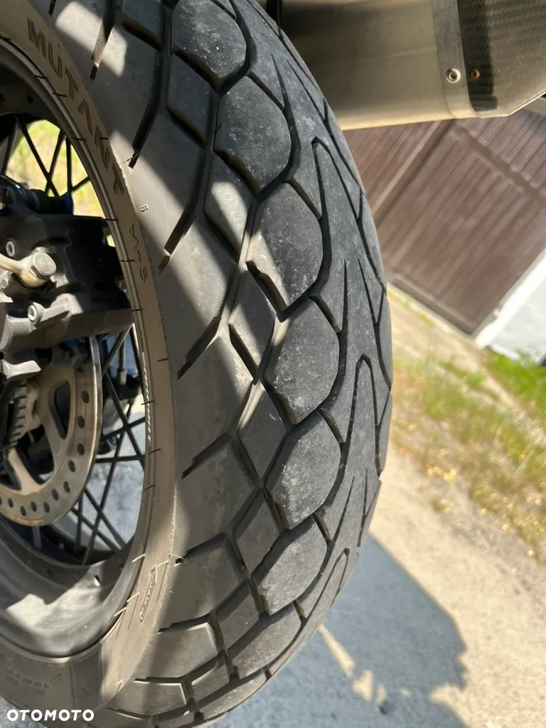 Triumph Tiger - 7
