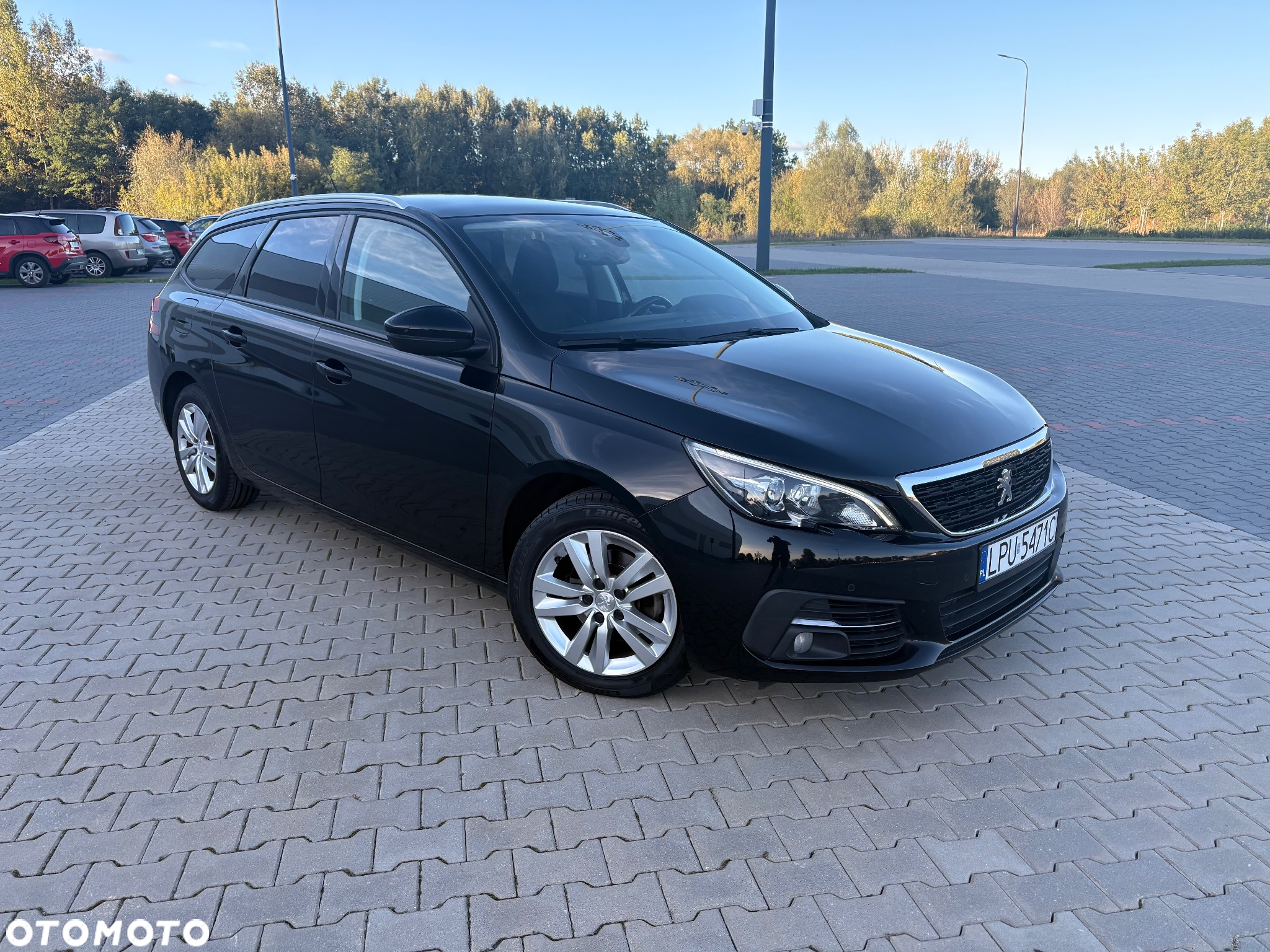 Peugeot 308 1.6 BlueHDi Business Line S&S - 11