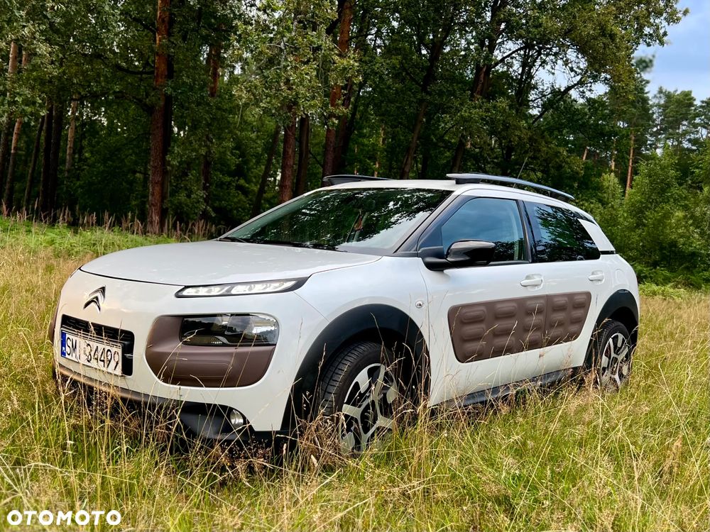 Citroën C4 Cactus BlueHDi 100 Stop&Start Shine Edition - 2