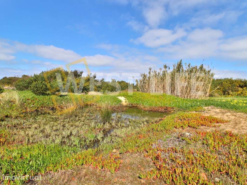 Terreno URBANO com 45.000m2 PLANO com grande potencial e ótima loca... - Grande imagem: 3/13