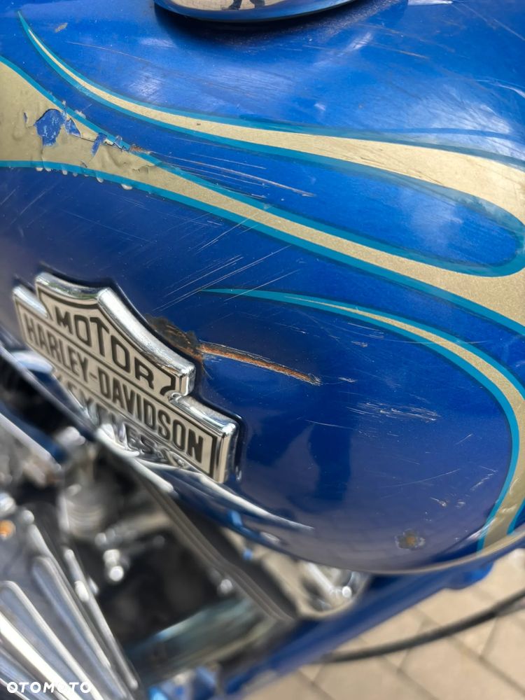Harley-Davidson Softail - 15