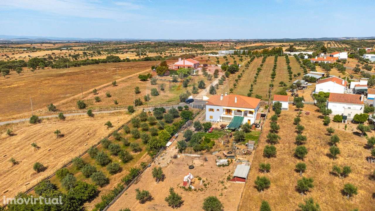 Quinta T4 para venda - Grande imagem: 5/50