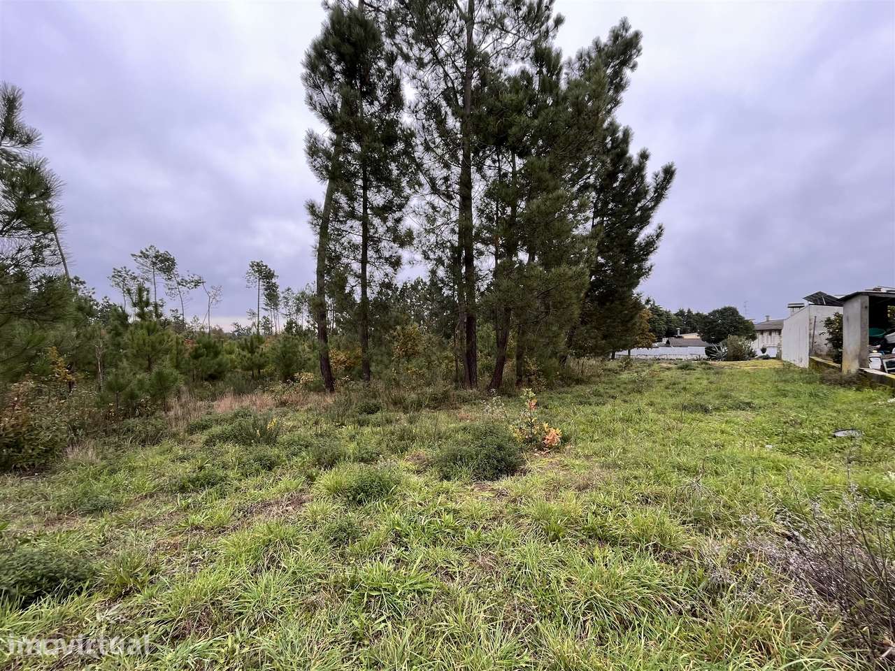 Terreno Para Construção  Venda em Rio de Loba,Viseu - Grande imagem: 5/15