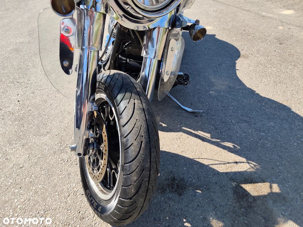 Indian Springfield - 27