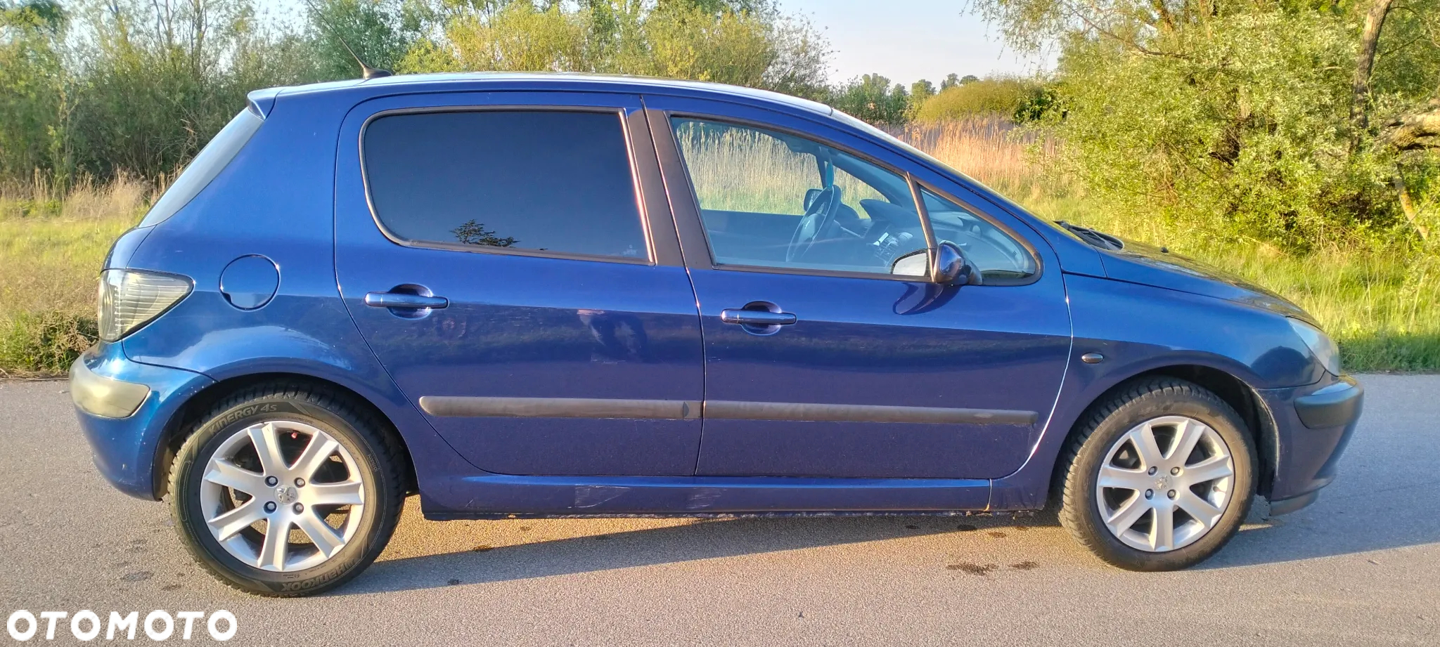 Peugeot 307 - 13