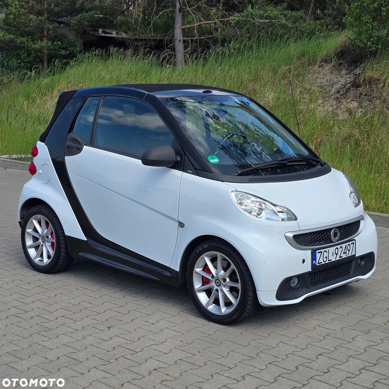 Smart Fortwo & passion cdi dpf - 1