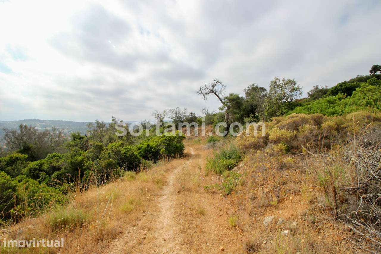 Terreno Para Construção  Venda em Loulé (São Clemente),Loulé - Grande imagem: 5/8