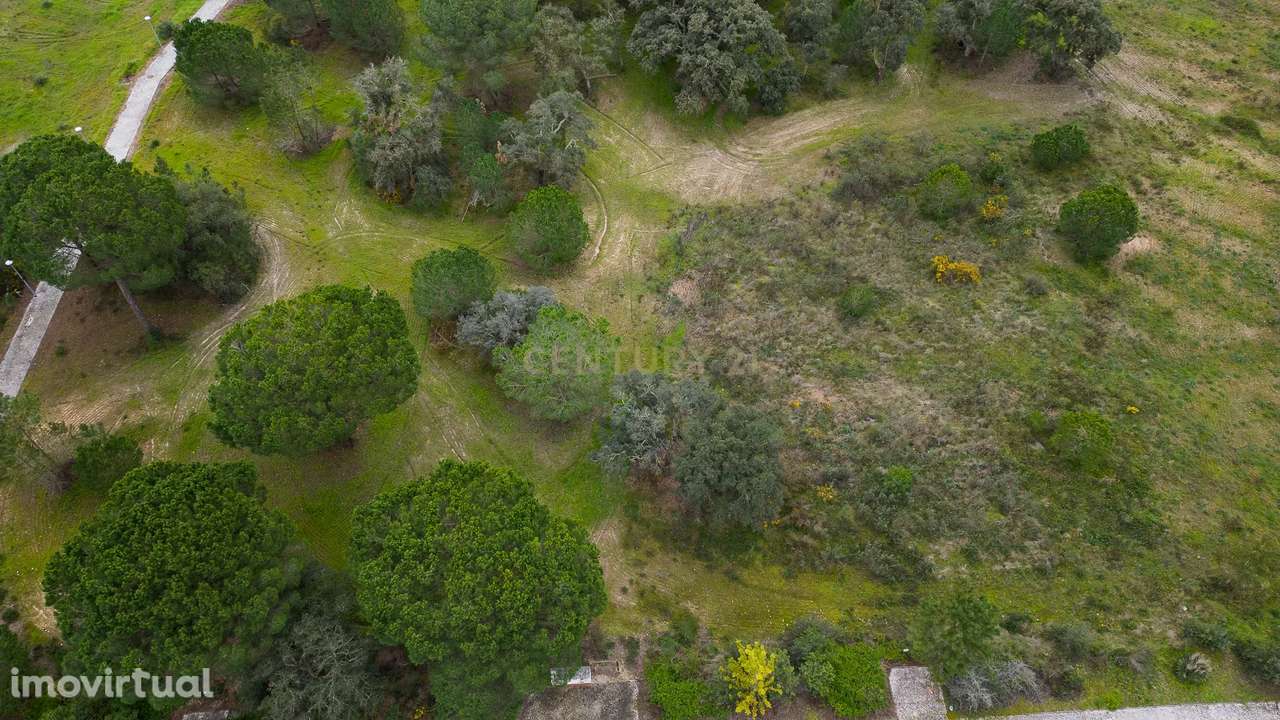 Lote Exclusivo com 2.150 m2 para moradia | Vila Nova de Santo Estevão - Grande imagem: 3/8