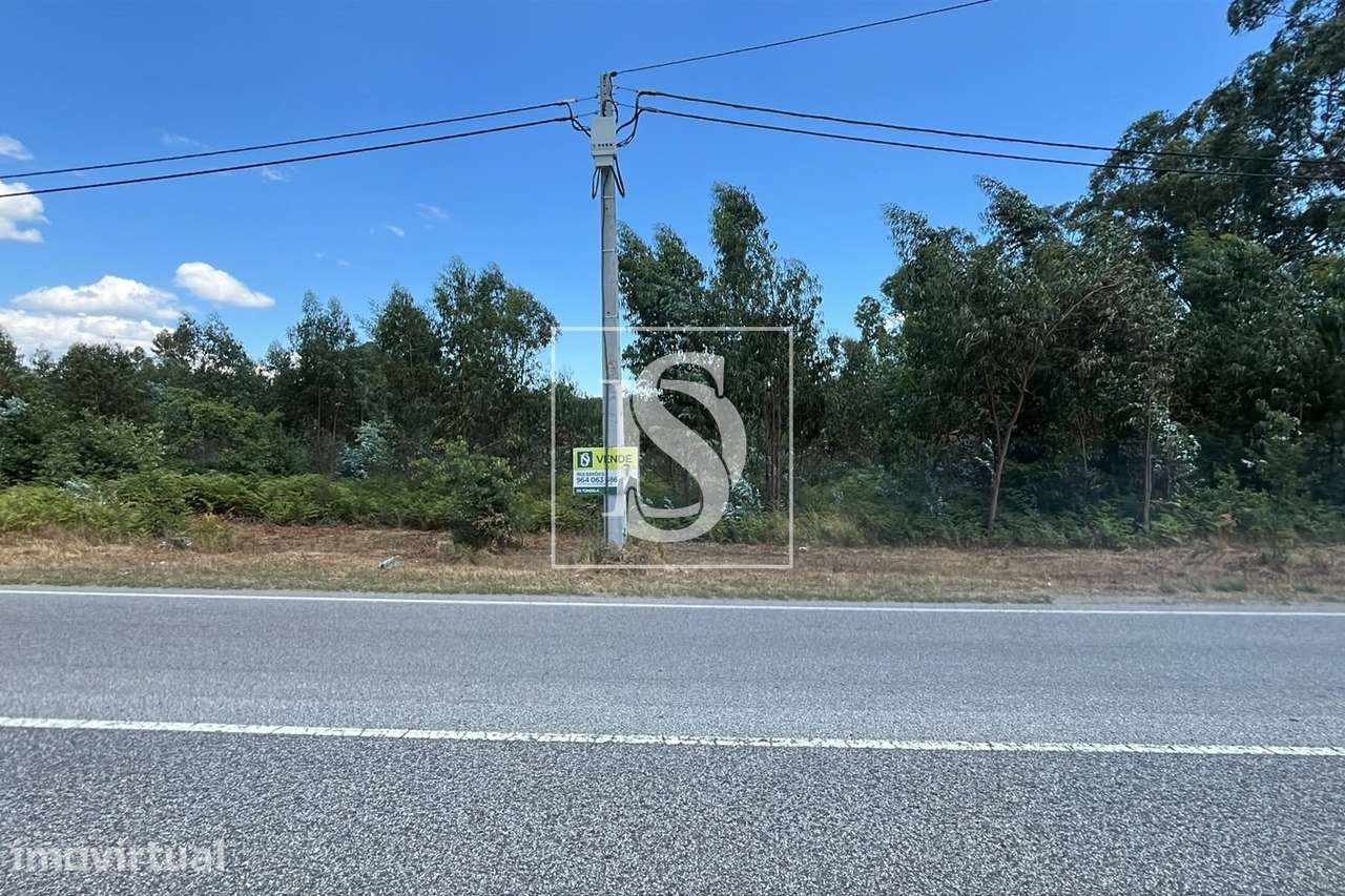Terreno  Venda em Vilar de Besteiros e Mosteiro de Fráguas,Tondela - Grande imagem: 2/5