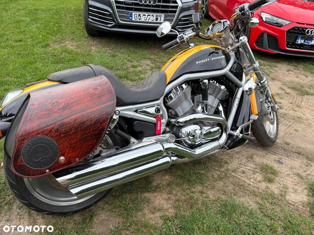 Harley-Davidson V-Rod Street Rod - 7