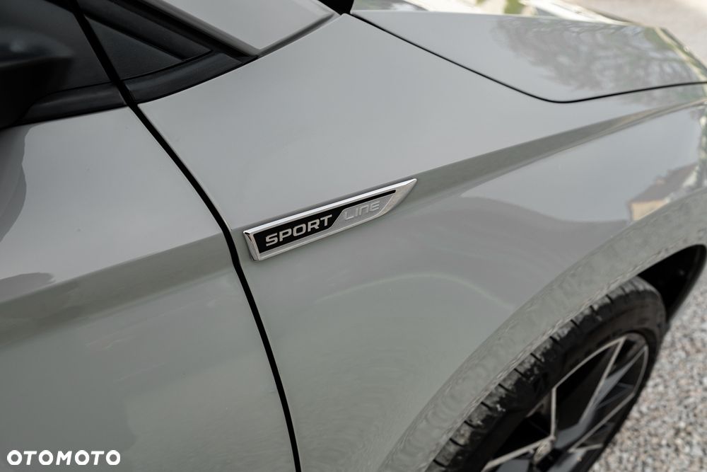 Skoda Karoq 2.0 TSI 4x4 DSG Sportline - 27