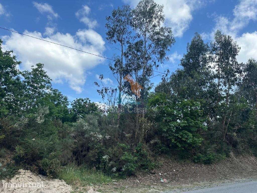 Venda Terreno - Grande imagem: 4/15