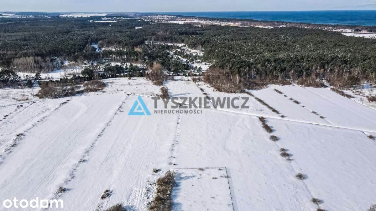 działka rolna | 0,3001 ha | Tupadły | morze | las - Pełny obrazek: 3/18