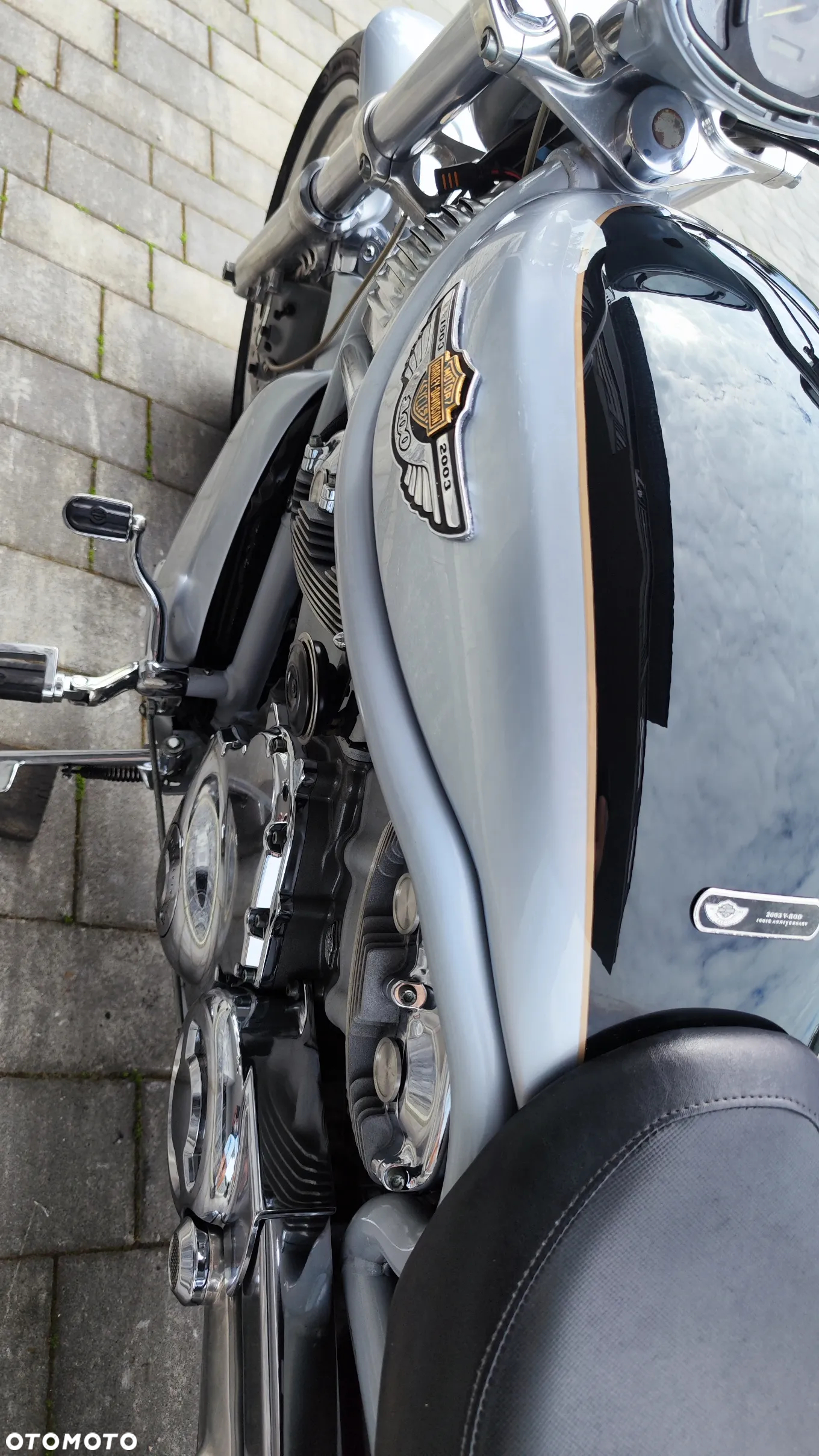 Harley-Davidson Softail V-Rod - 20
