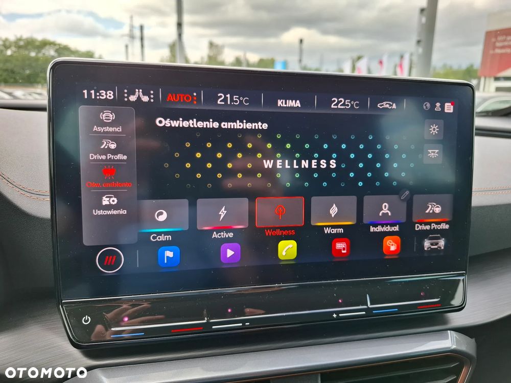 Cupra Formentor 1.5 TSI DSG - 30