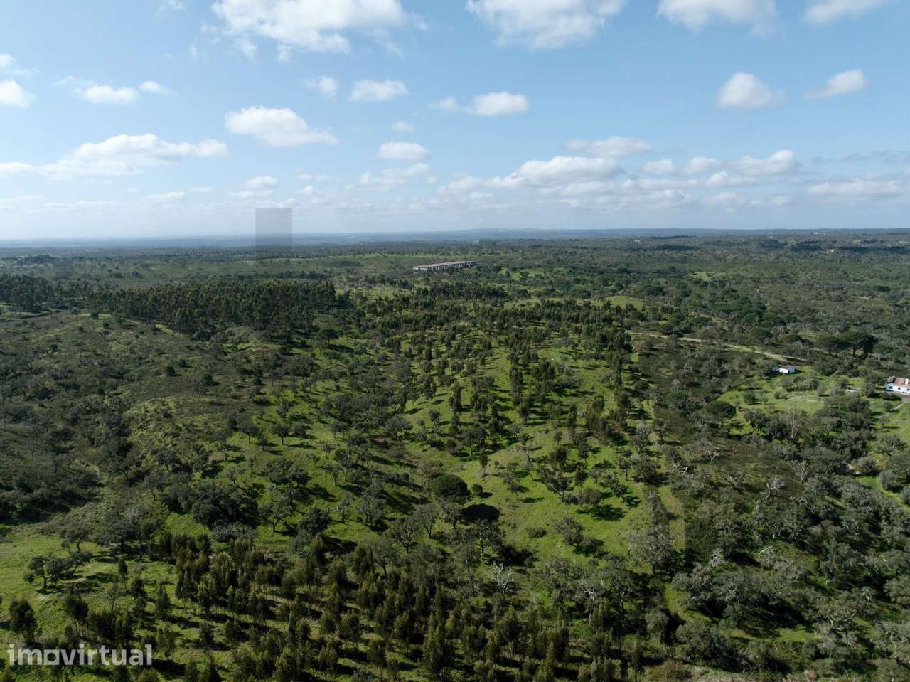 Terreno Rústico com 9,3 Hectares na Serra de Grândola – Mosqueirões - Grande imagem: 2/25