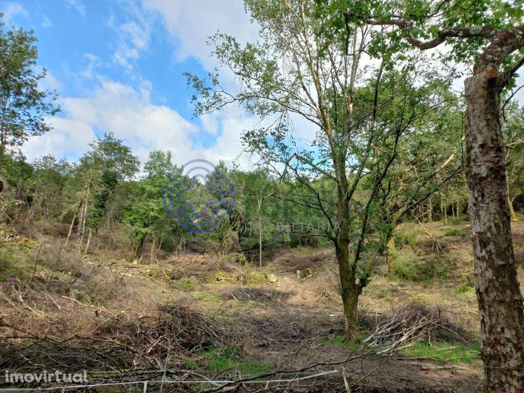 Terreno de 18.000 m2 em Chorense, Terras de Bouro - Braga - Grande imagem: 2/28