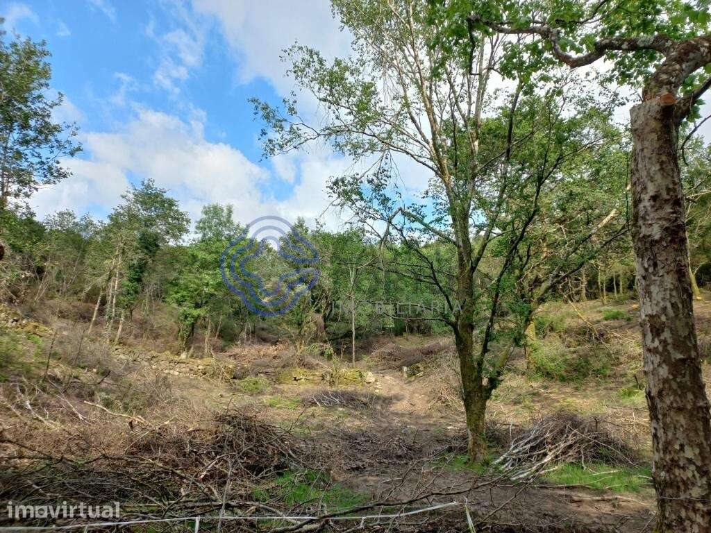 Terreno de 18.000 m2 em Chorense, Terras de Bouro - Braga - Grande imagem: 2/28