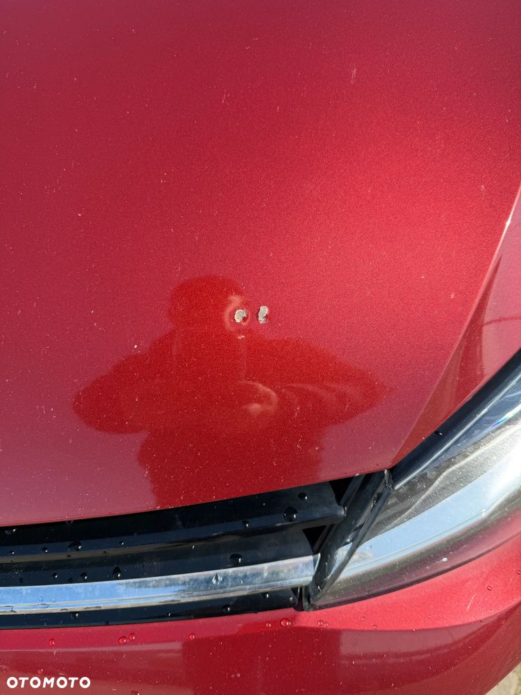 Volkswagen Golf - 15