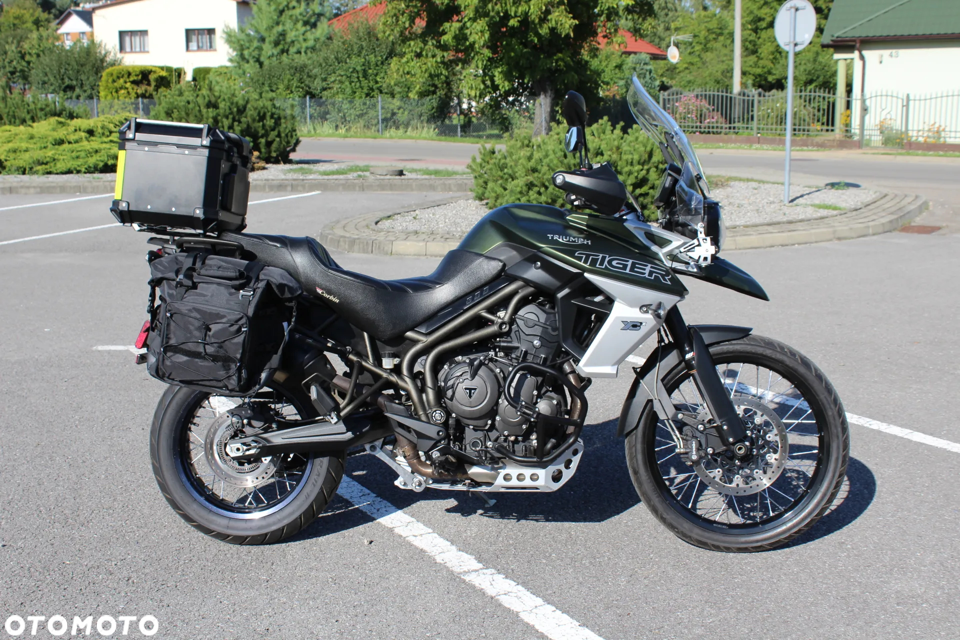 Triumph Tiger - 7