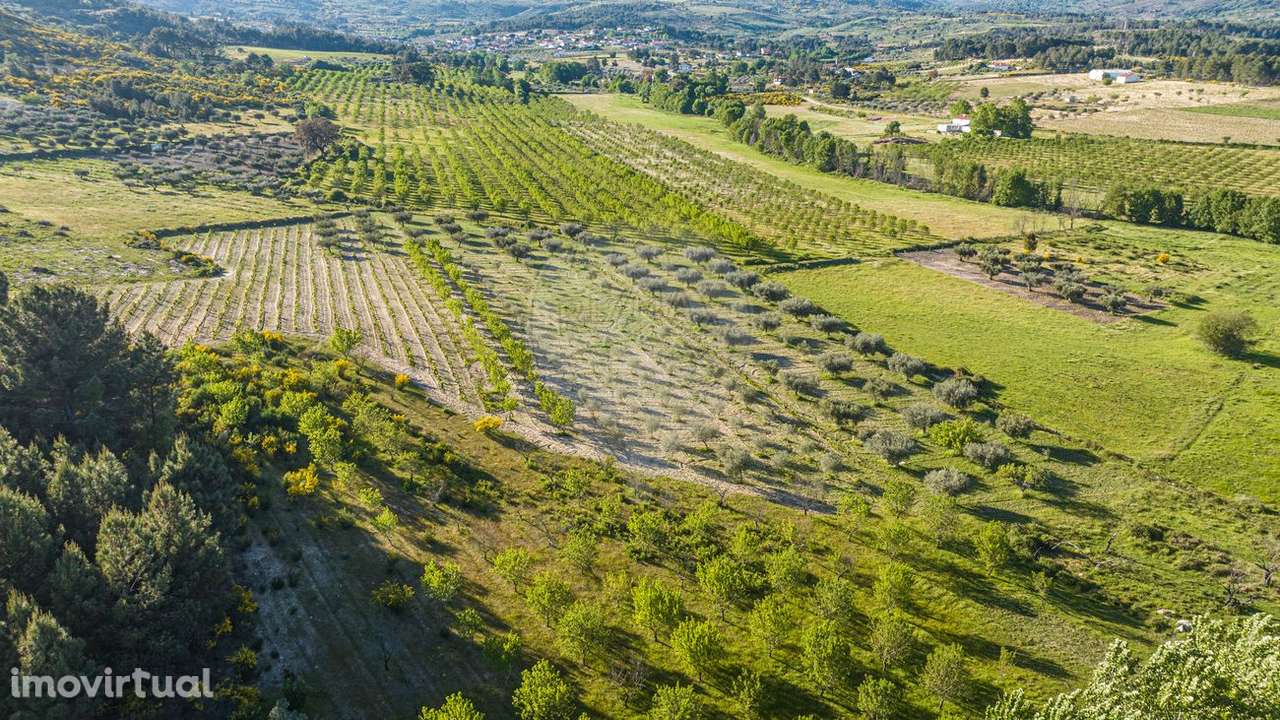 Terreno  para venda - Grande imagem: 5/14