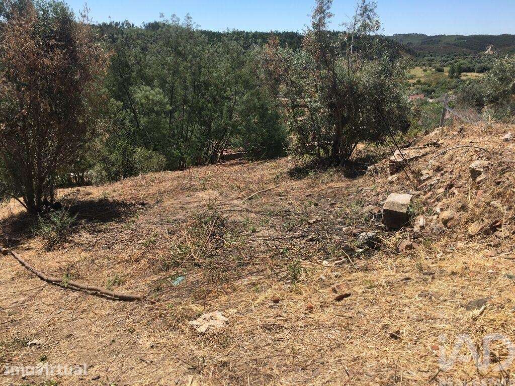 Terreno misto em Carvoeiro - Grande imagem: 5/7
