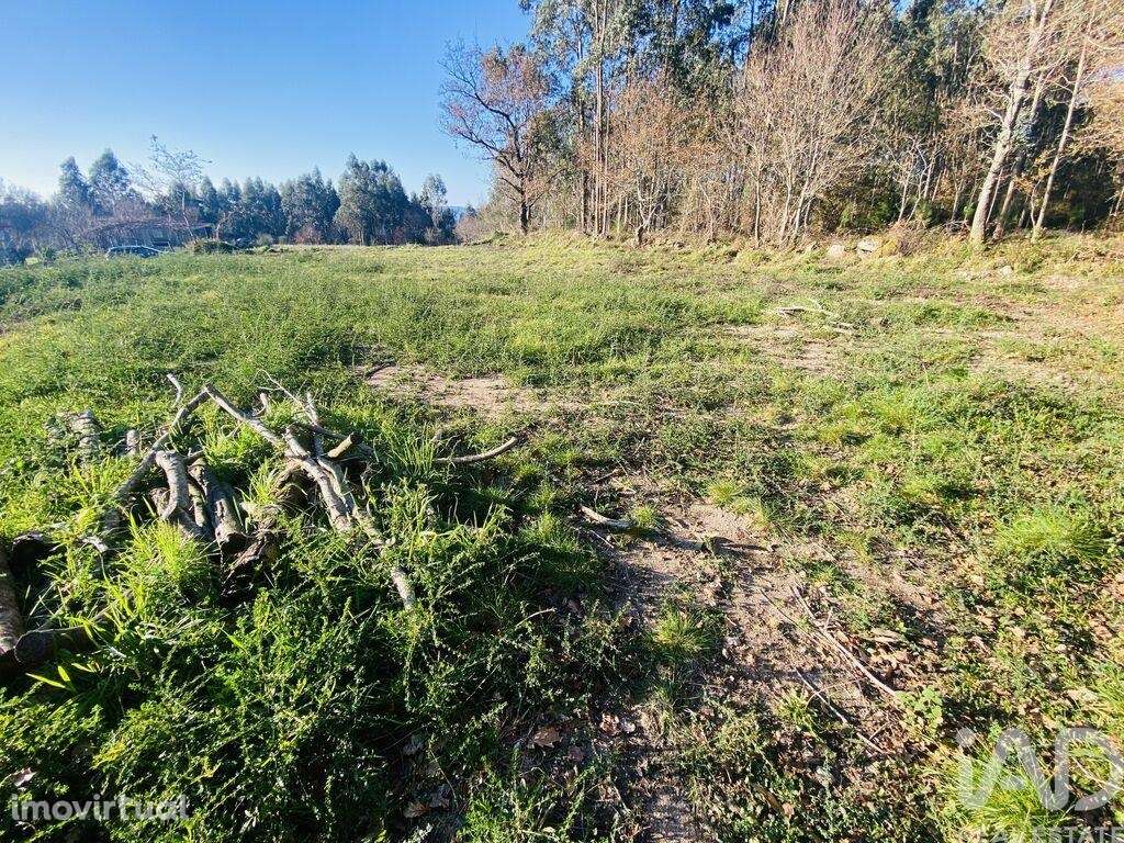 Terreno Agrícola em Sopo de 260,00 m2 - Grande imagem: 5/17