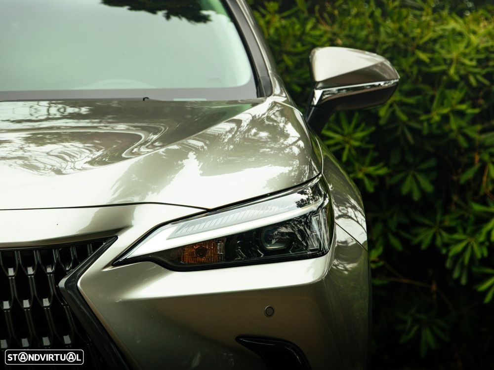 Lexus NX 450h+ - 17