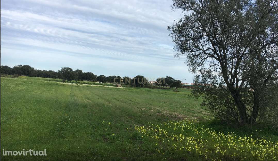 Quinta à venda no Pinhal Novo – Terrim, Palmela - Grande imagem: 2/5