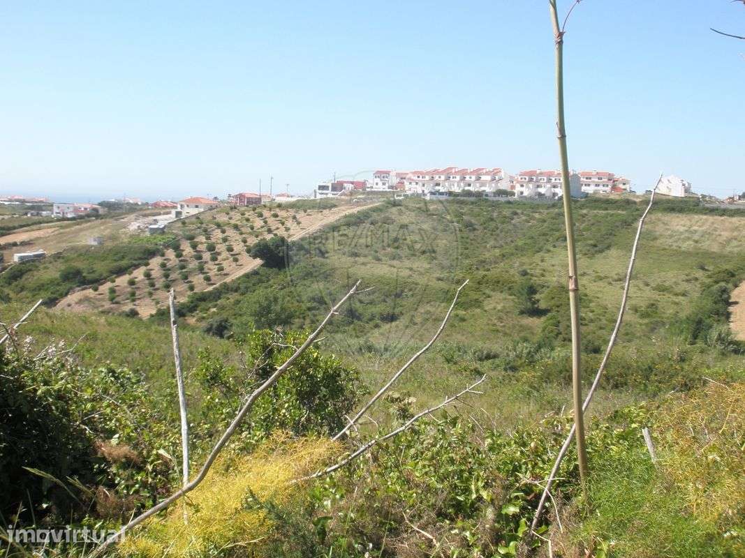 Terreno  para venda - Grande imagem: 5/6