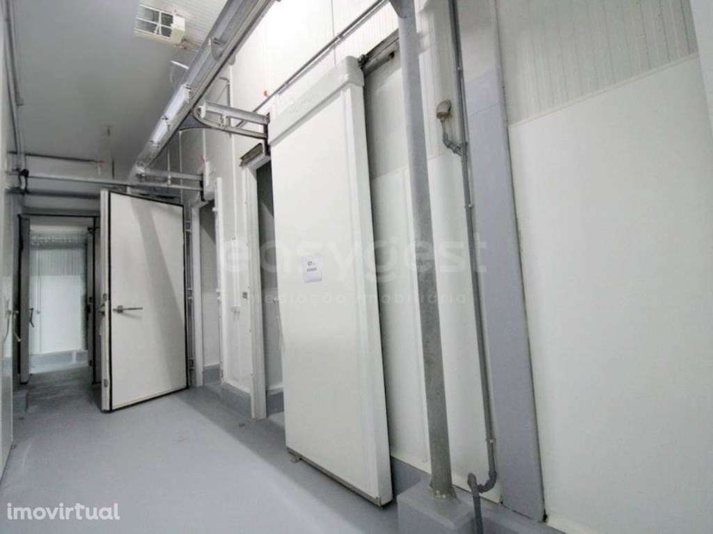 Matadouro Bovino - Grande imagem: 2/25