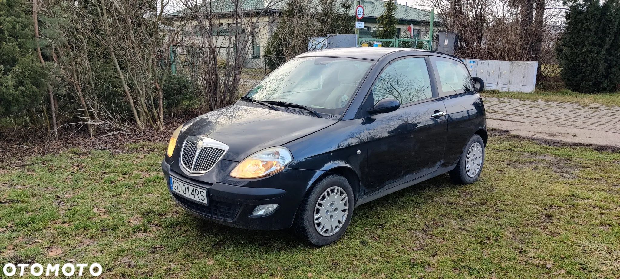 Lancia Ypsilon 1.2 8v Argento - 1