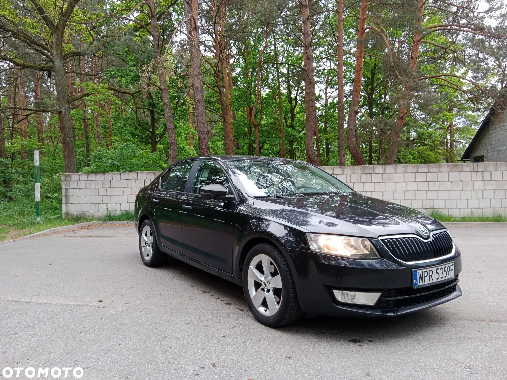 Skoda Octavia 1.2 TSI Active - 1