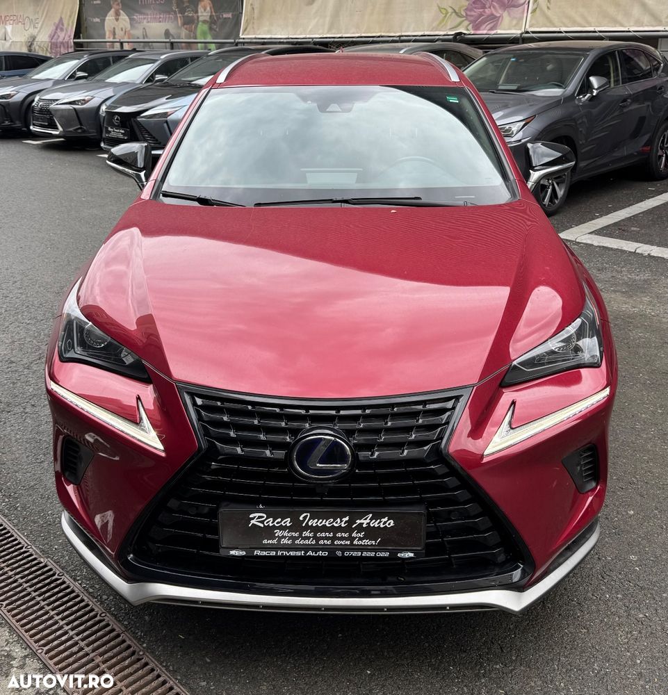 Lexus Seria NX 300h AWD Business Plus - 2