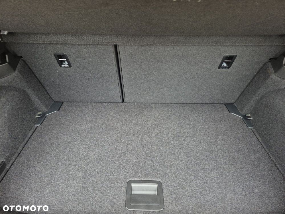 Volkswagen Polo 2.0 TSI GTI DSG - 30