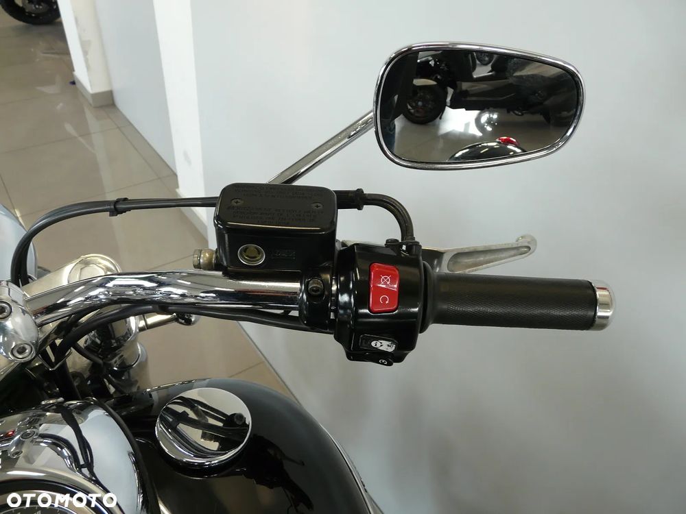 Triumph Thunderbird - 14