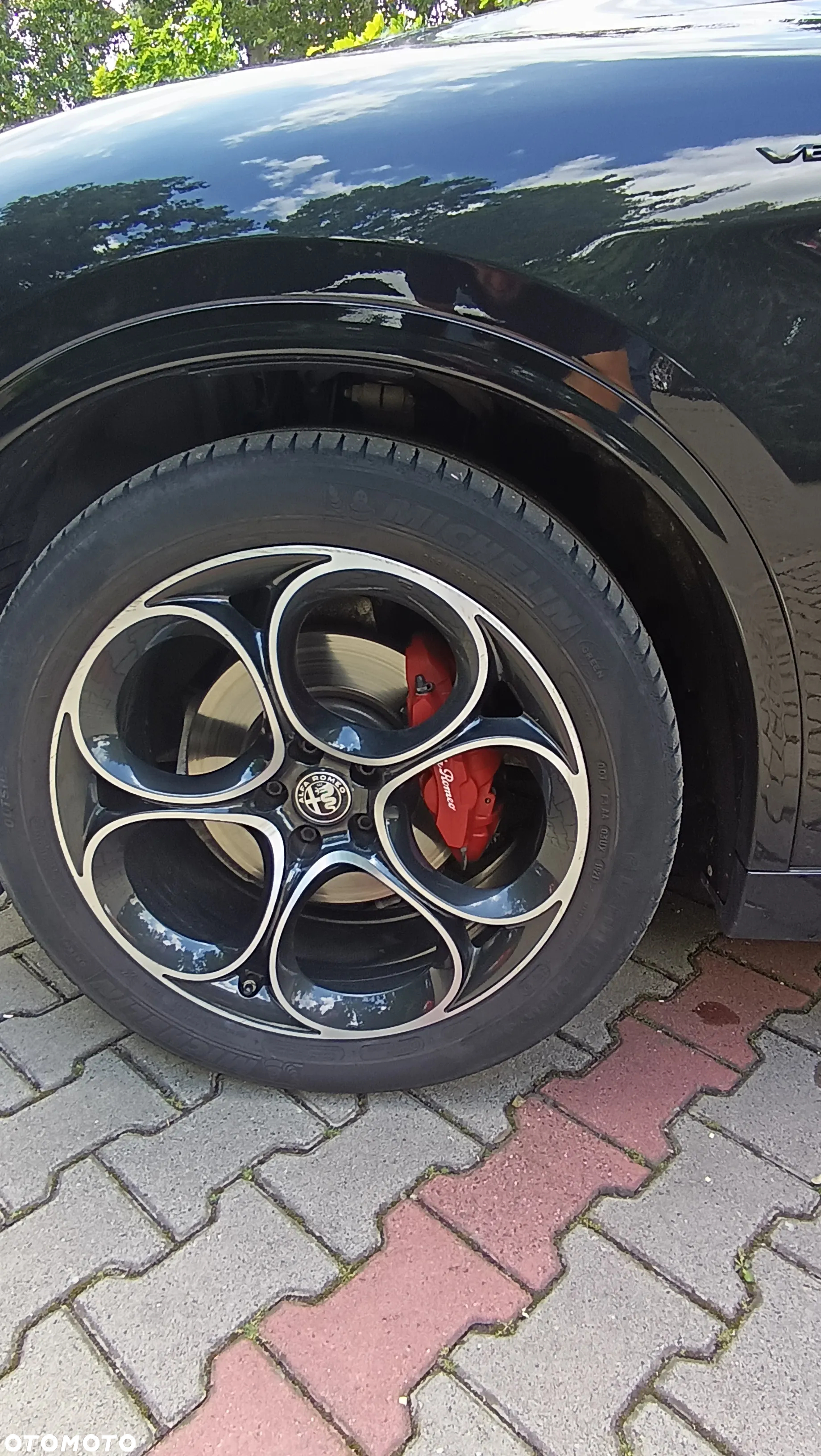 Alfa Romeo Stelvio 2.0 Turbo Veloce Q4 - 16