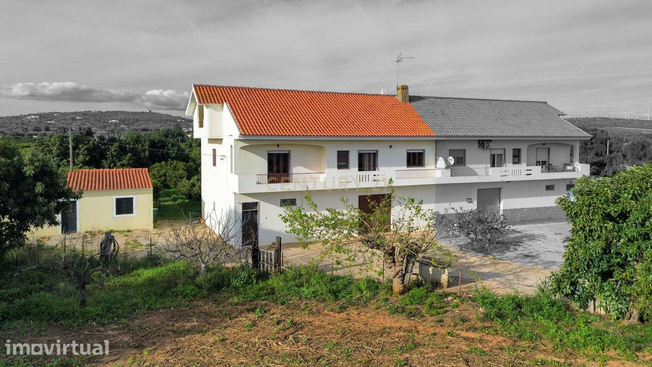 Moradia T3 | Geminada | Pomar 9480m2 | Joinal – S.B.Messines | Armazém - Grande imagem: 4/44