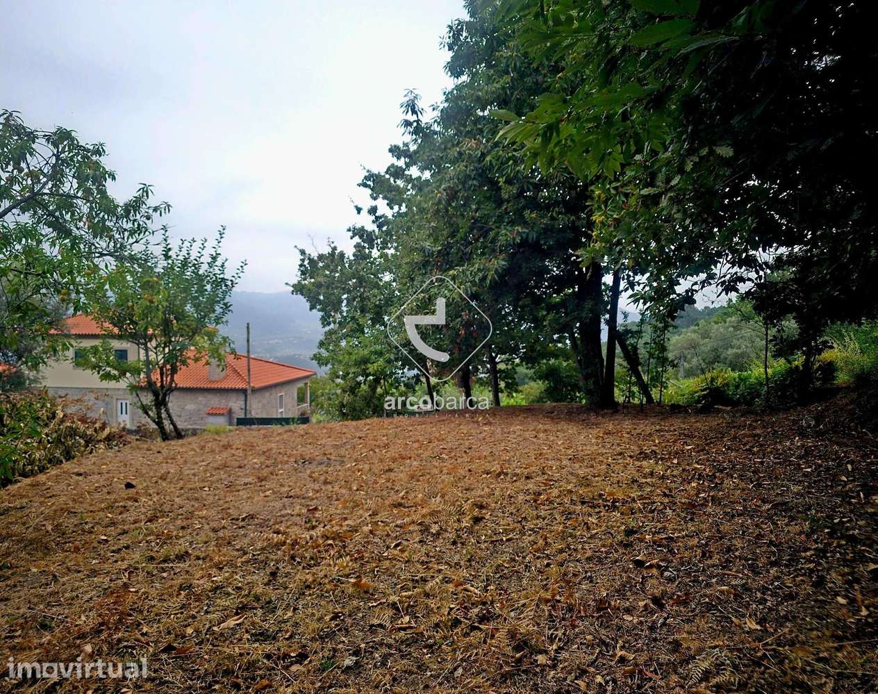 Terreno Agrícola - Grande imagem: 2/28