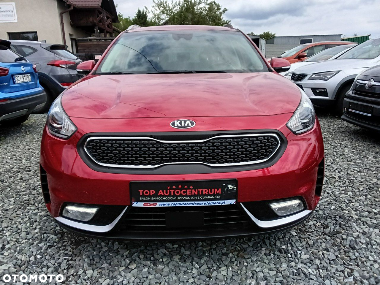 Kia Niro 1.6 GDI Hybrid Business Line - 6