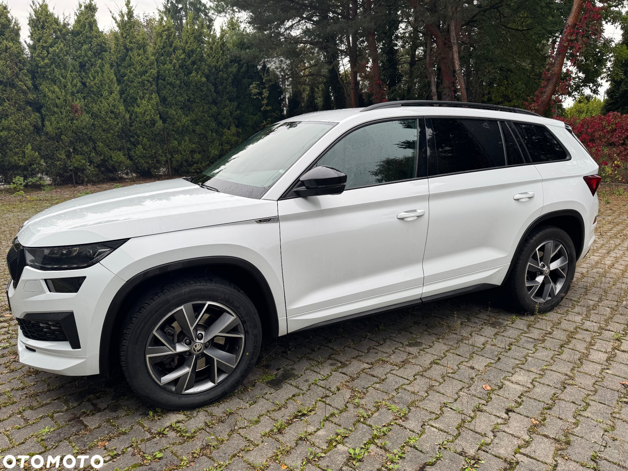 Skoda Kodiaq 2.0 TDI 4x4 Sportline DSG - 7