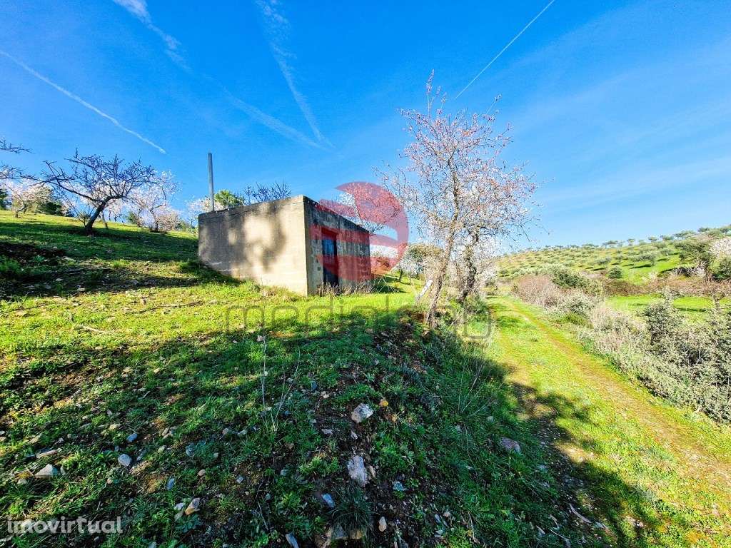 TERRENO RÚSTICO - Grande imagem: 4/11