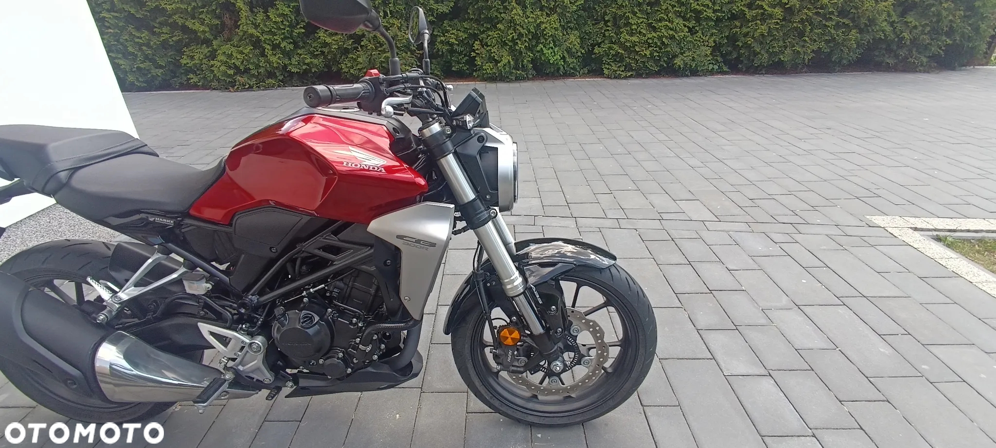 Honda CBF - 13