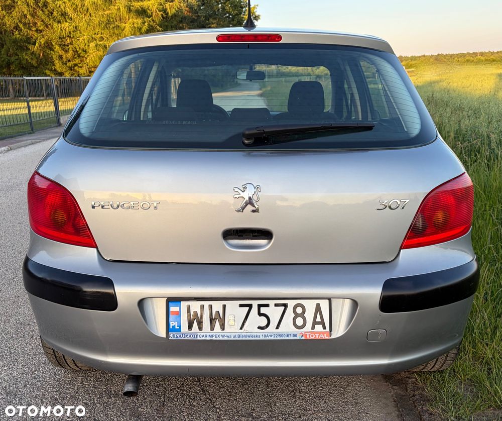 Peugeot 307 1.6 Premium - 32