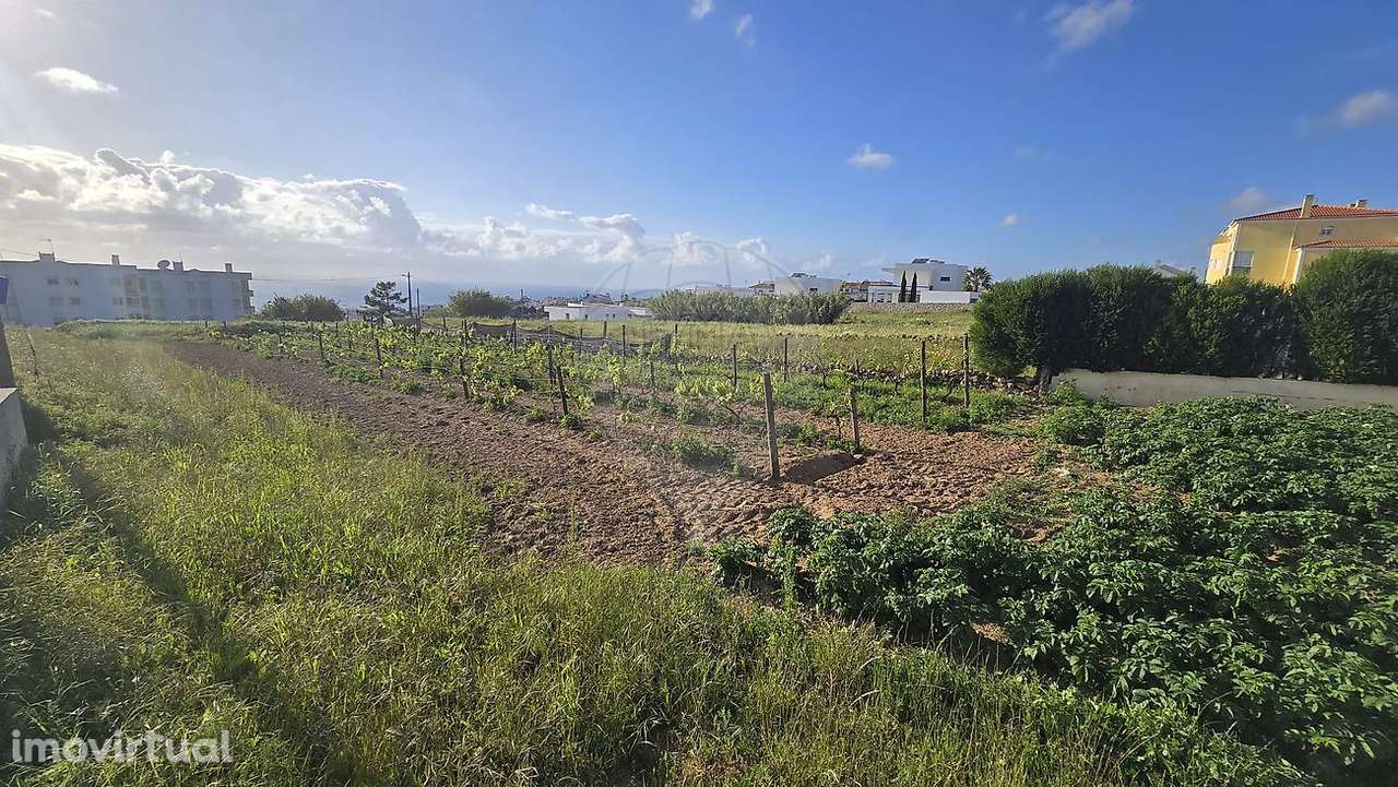 Terreno  para venda - Grande imagem: 3/4