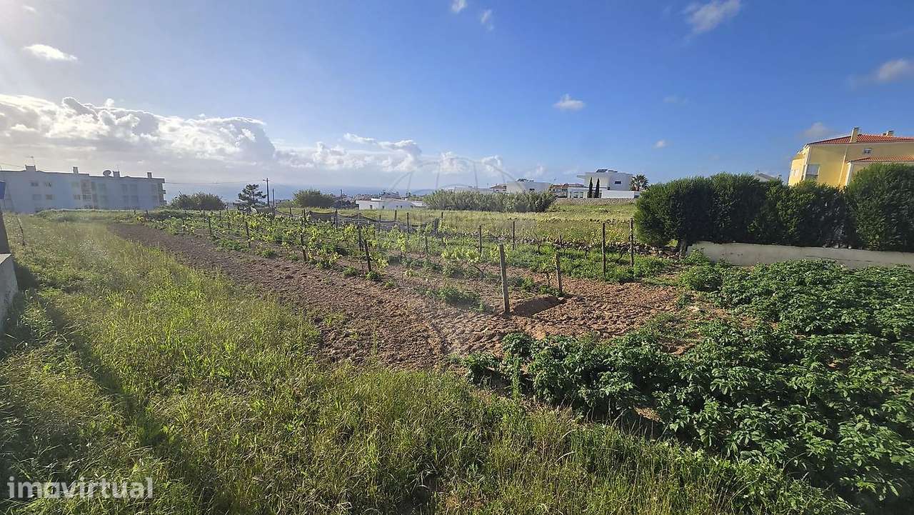 Terreno  para venda - Grande imagem: 3/4