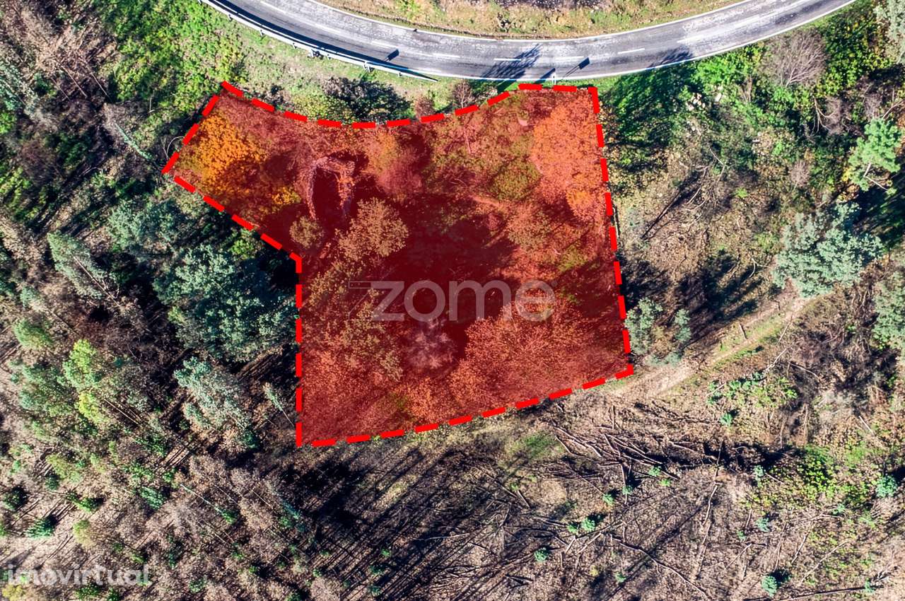 Quintinha para recuperar próxima dos Passadiços do Paiva - Nesperei... - Grande imagem: 4/13